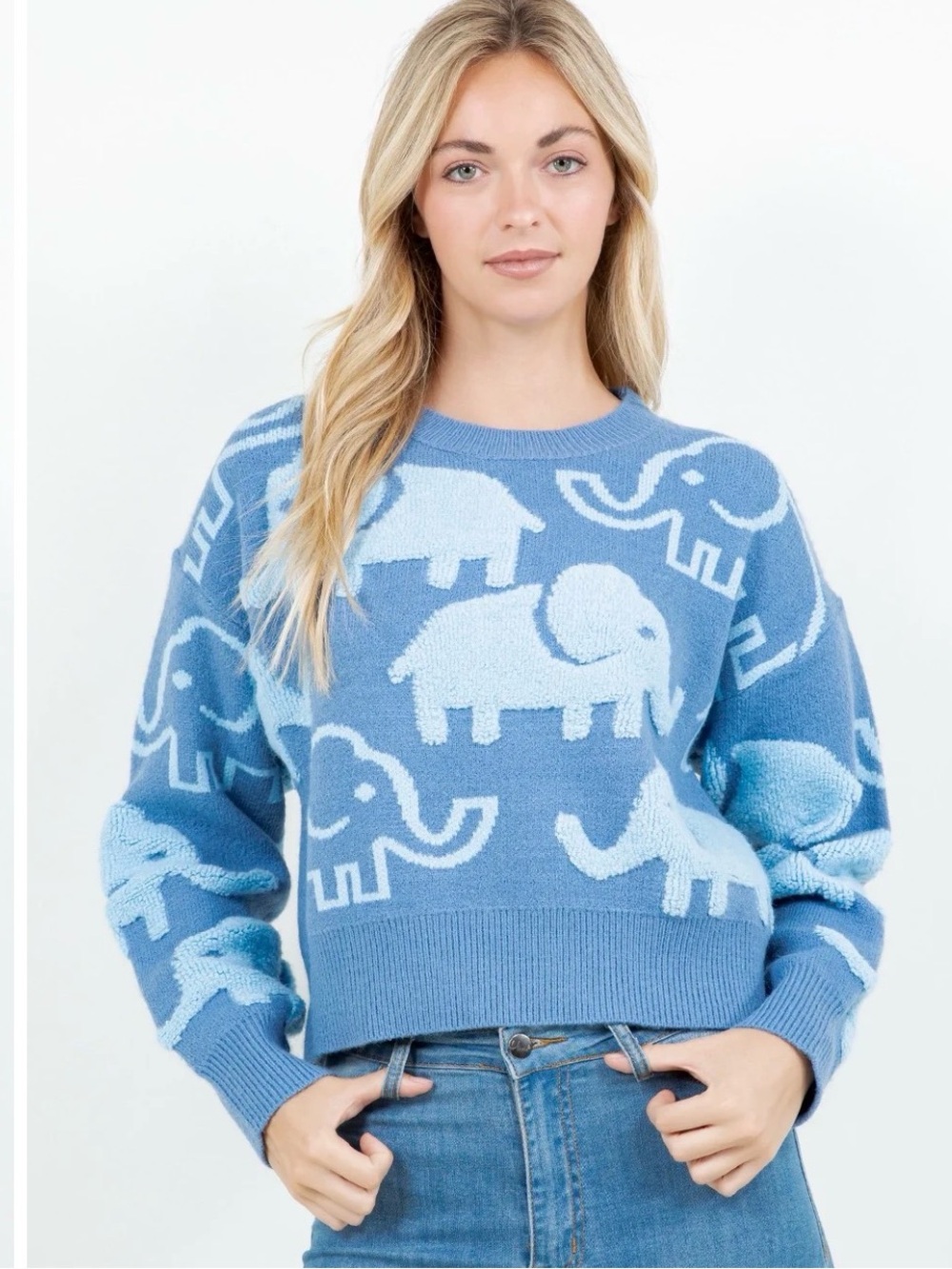 🐘🐘🐘Light Blue Elephant Crewneck Sweater